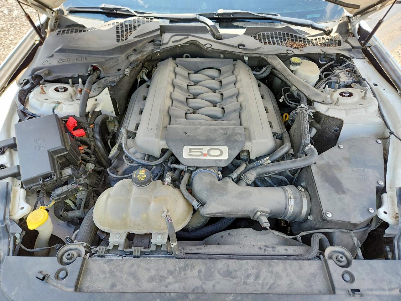 2017 Ford Mustang Gt - zdjęcie 11