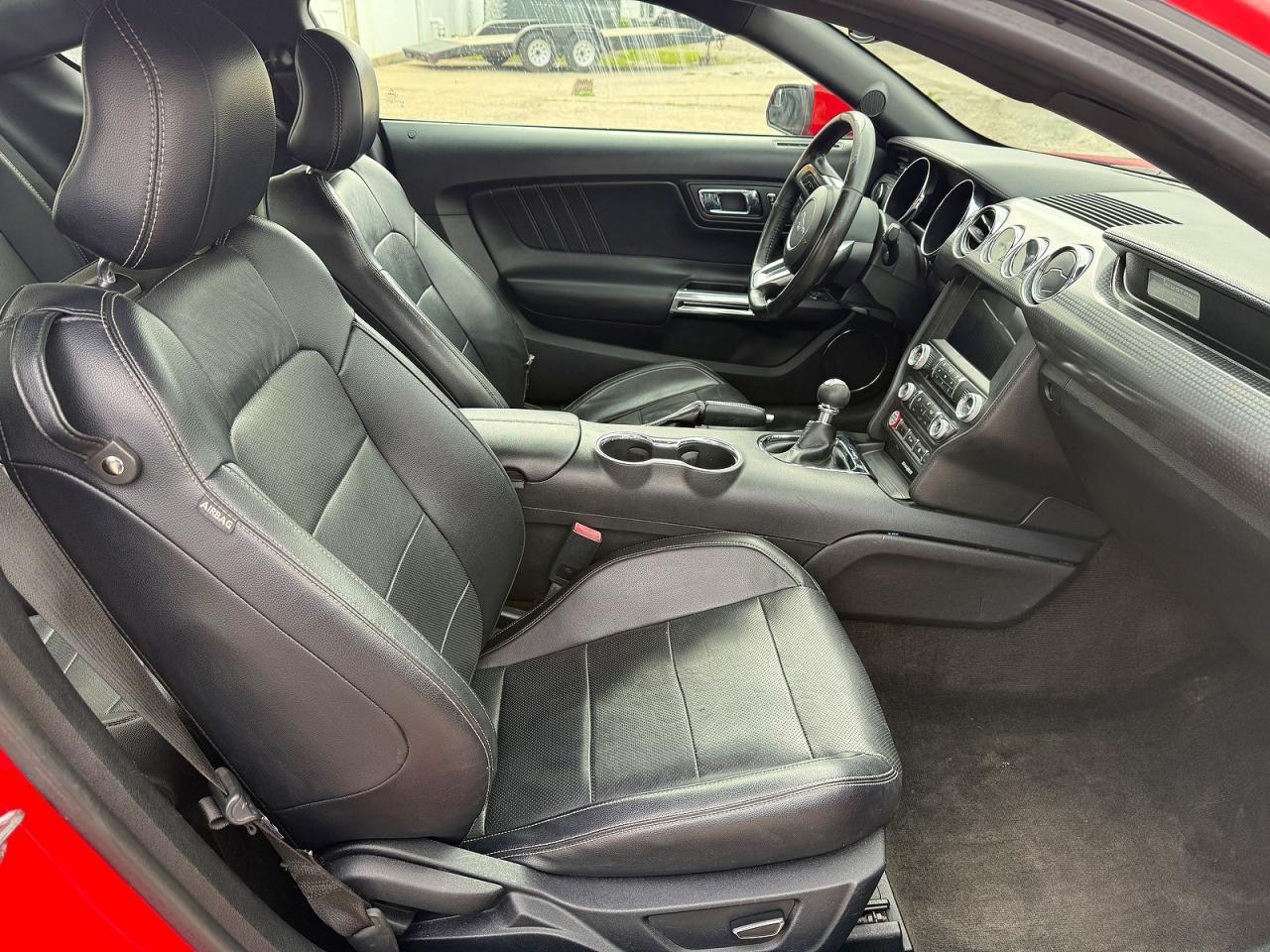 2015 Ford Mustang Gt - zdjęcie 5