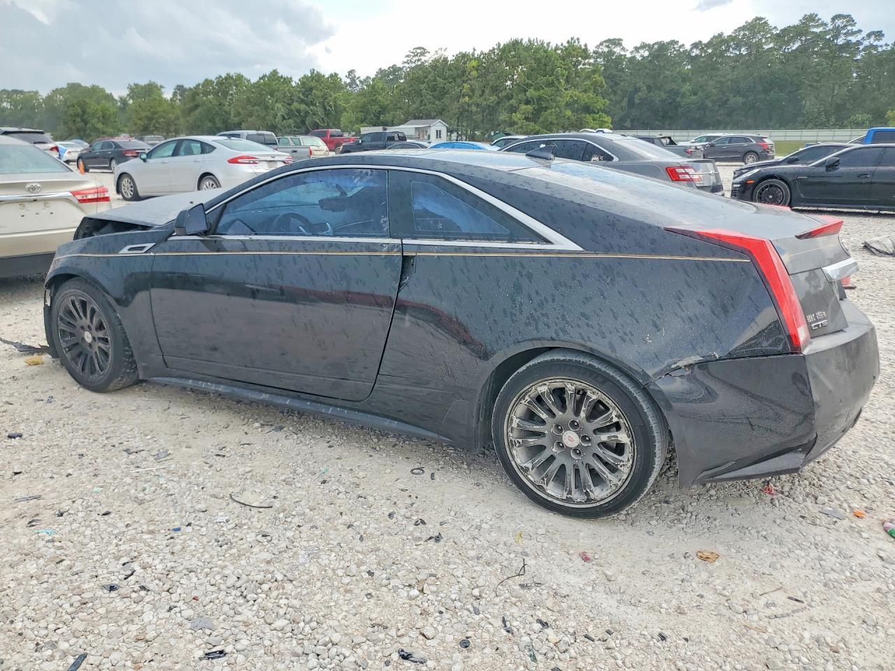 2014 Cadillac Cts Performance Collection - zdjęcie 2