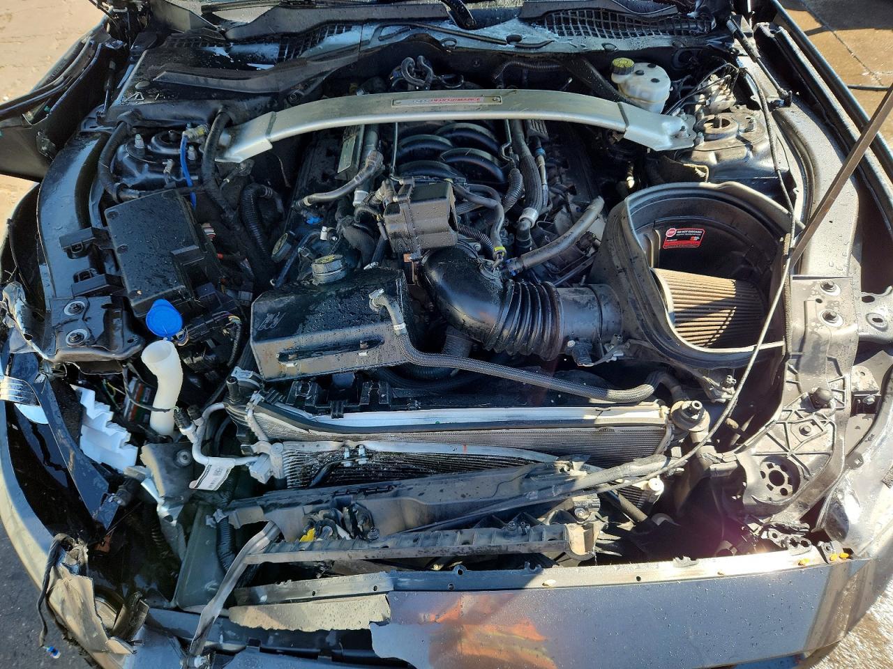 2019 Ford Mustang Shelby Gt350 - zdjęcie 11