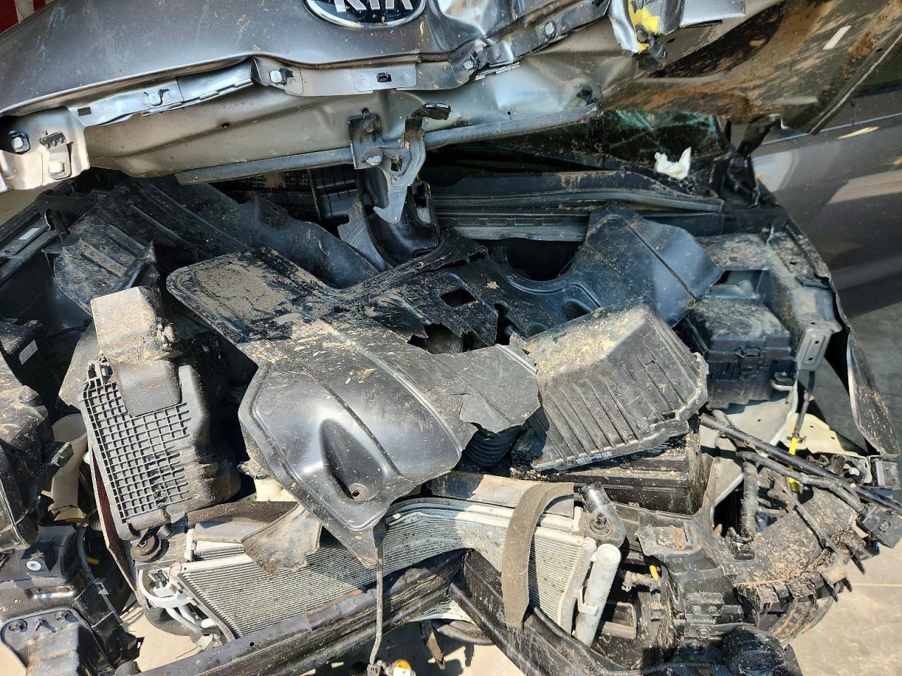 2016 Kia Soul + - zdjęcie 11