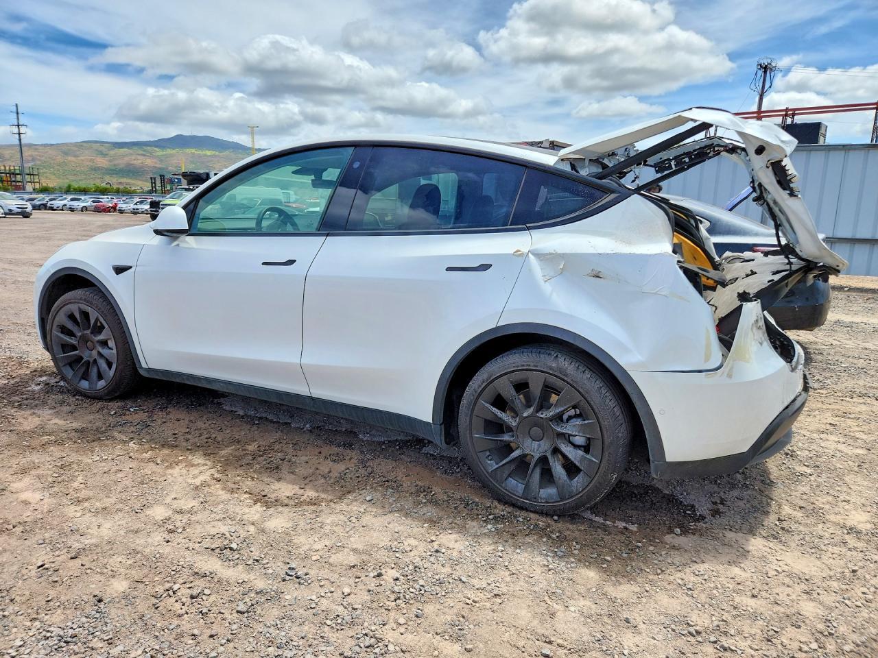 2021 Tesla Model Y - zdjęcie 2
