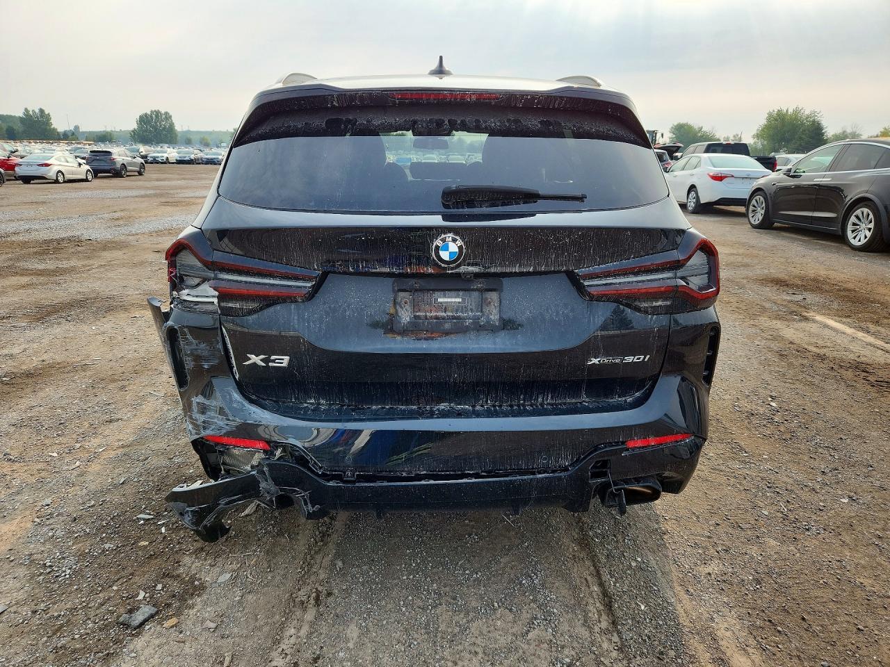 2023 BMW X3 xDrive30I - zdjęcie 6