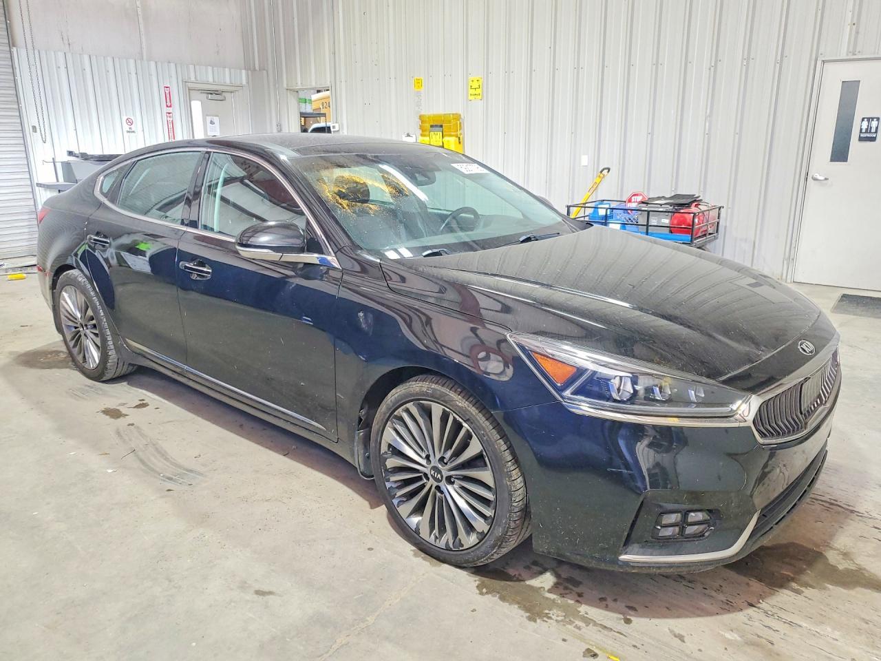 2018 Kia Cadenza Limited - zdjęcie 4