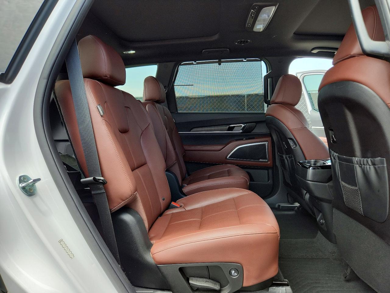 2024 Kia Telluride Sx - zdjęcie 11