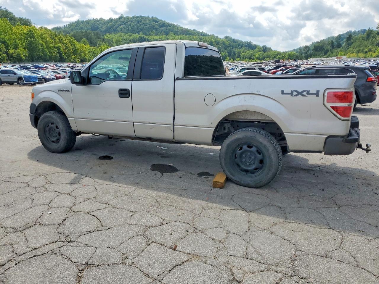 2013 Ford F-150 - zdjęcie 2