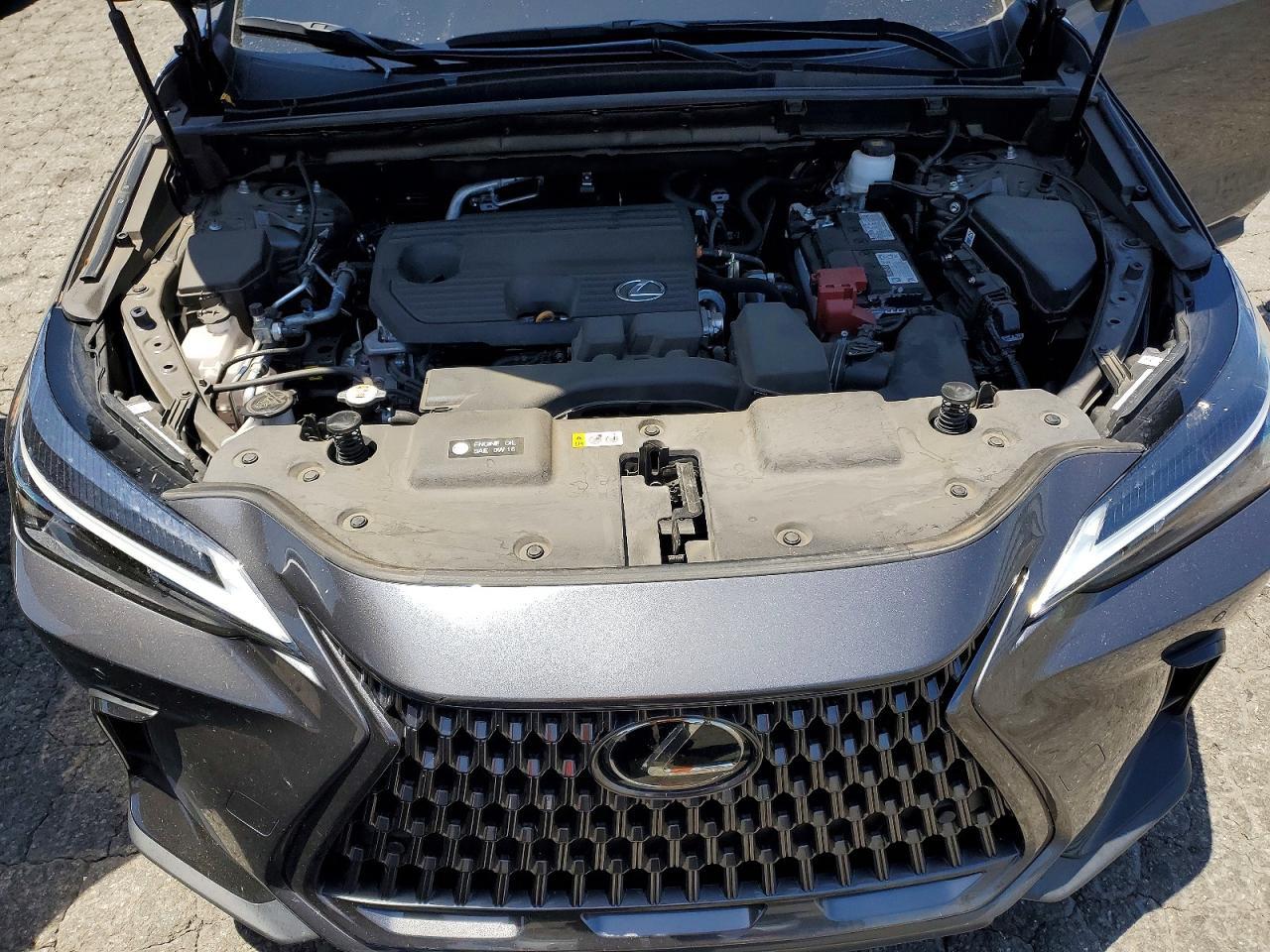 2025 Lexus Nx 250 Base - zdjęcie 12