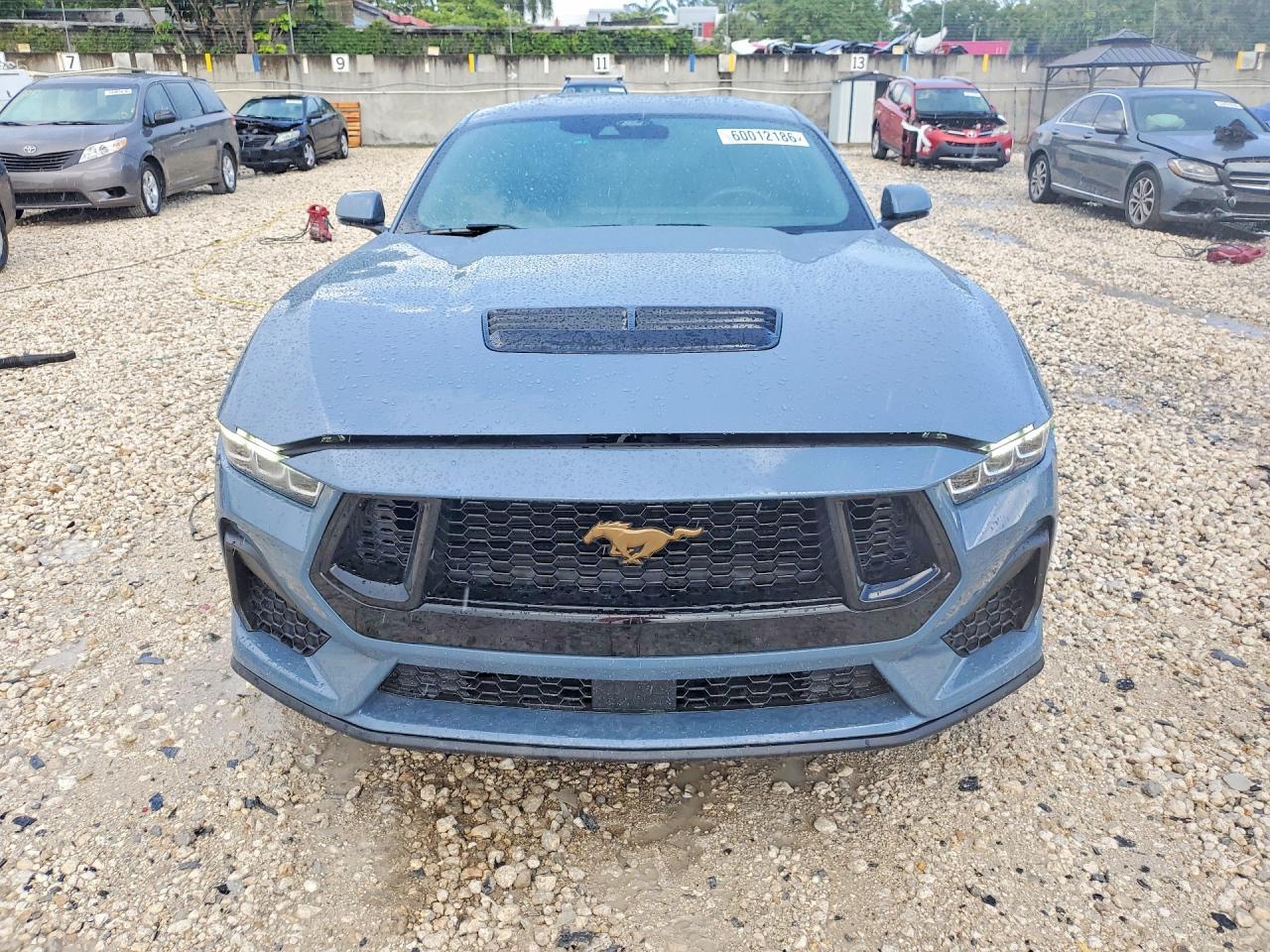 2024 Ford Mustang Gt - zdjęcie 5
