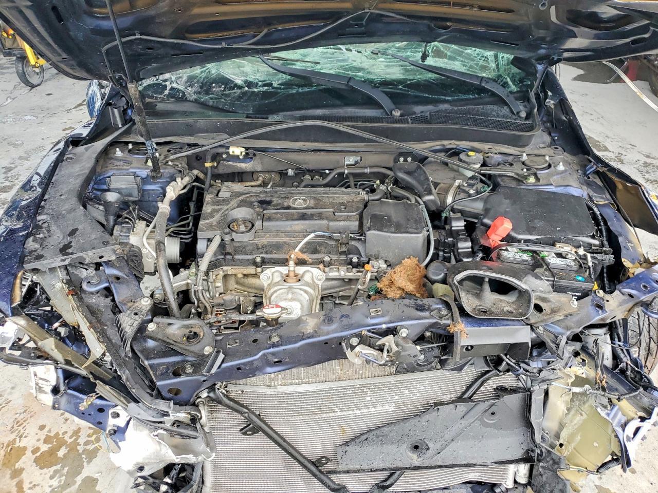 2016 Acura Tlx - zdjęcie 11