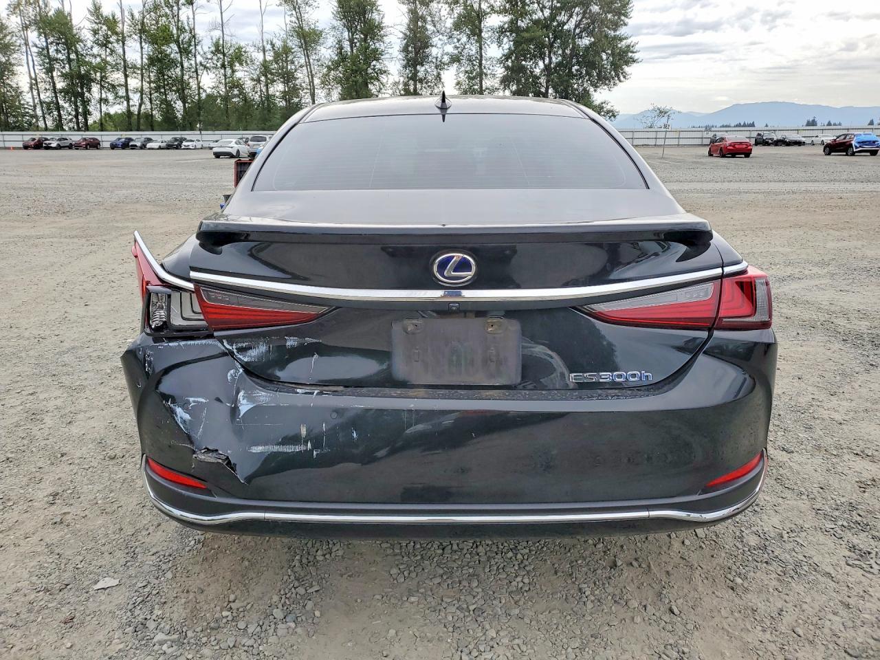 2020 Lexus Es 300H - zdjęcie 6