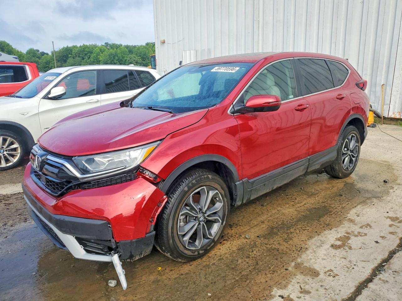 2022 Honda Cr-V Exl - zdjęcie główne