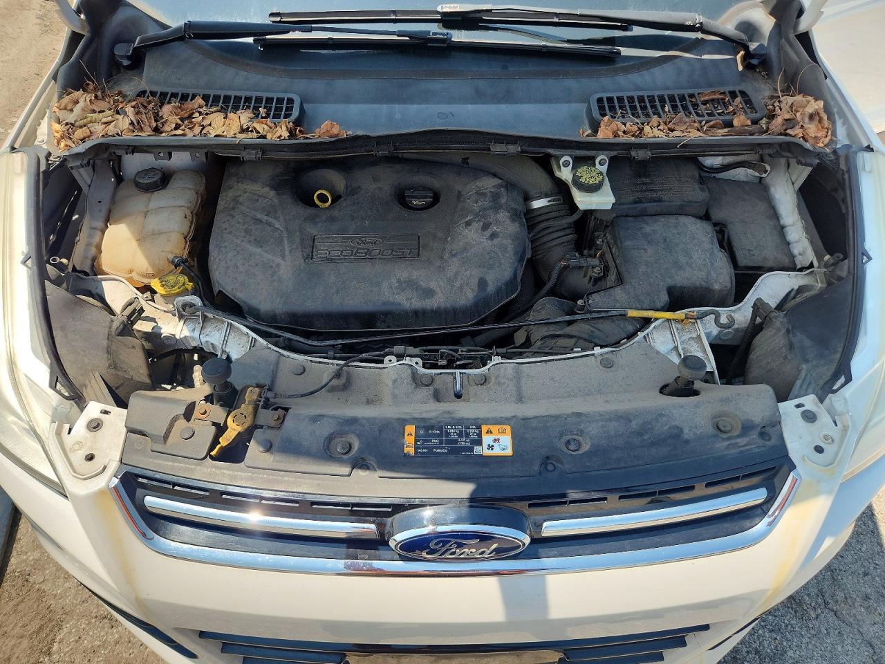 2013 Ford Escape Sel - zdjęcie 12