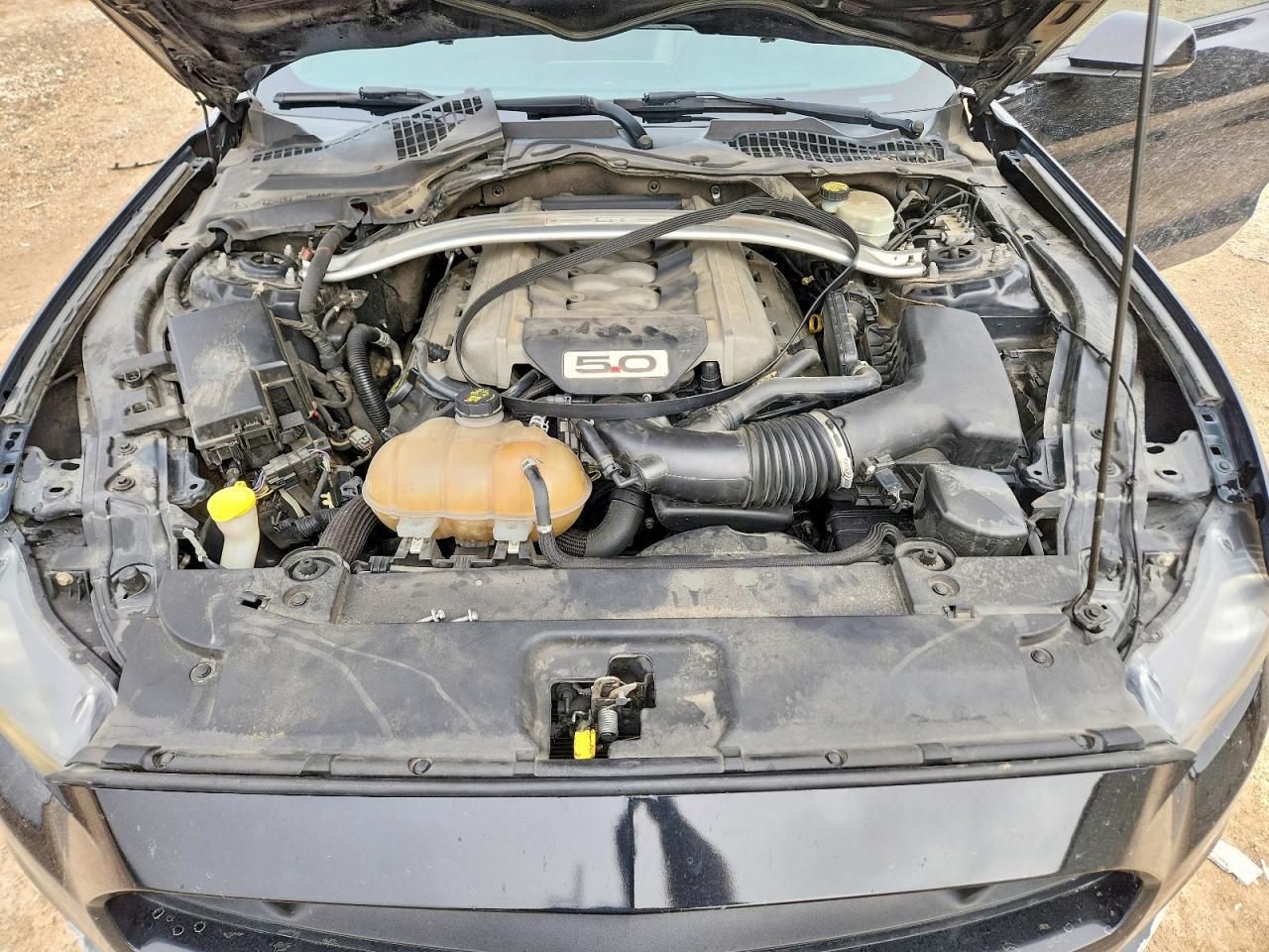 2017 Ford Mustang Gt - zdjęcie 11