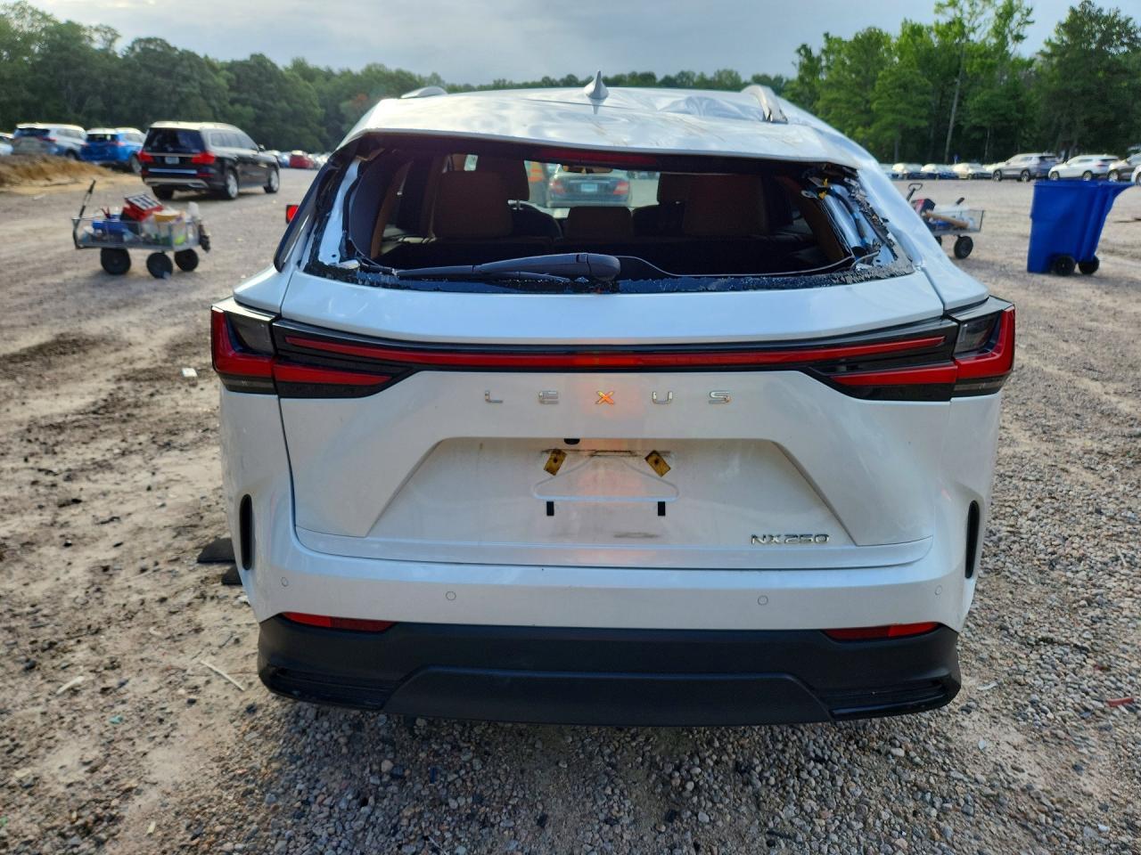 2022 Lexus Nx 250 - zdjęcie 6