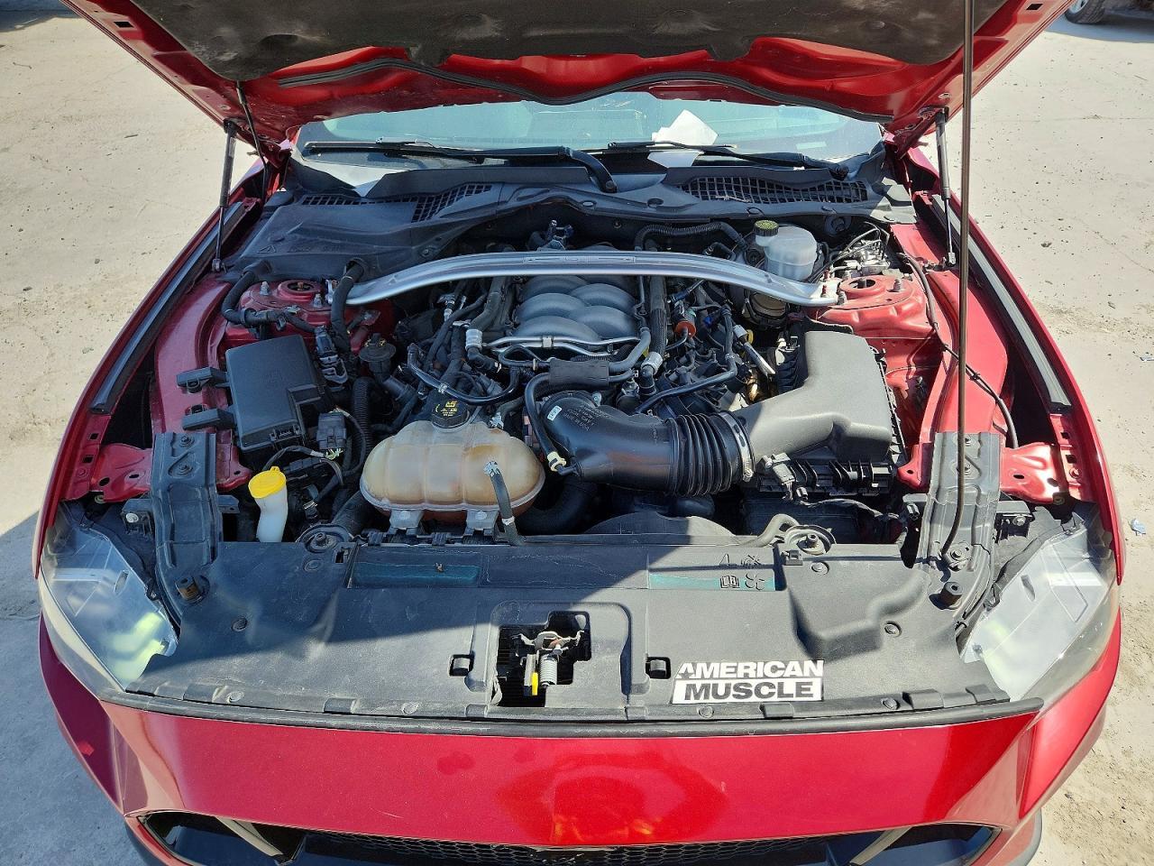 2019 Ford Mustang Gt - zdjęcie 11