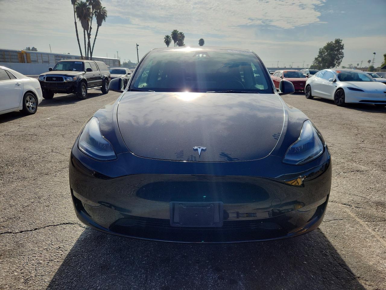 2023 Tesla Model Y - zdjęcie 5
