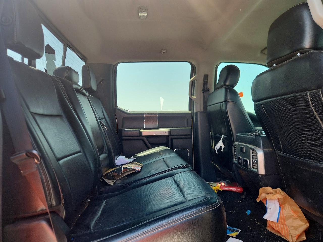 2017 Ford F350 Super Duty - zdjęcie 10