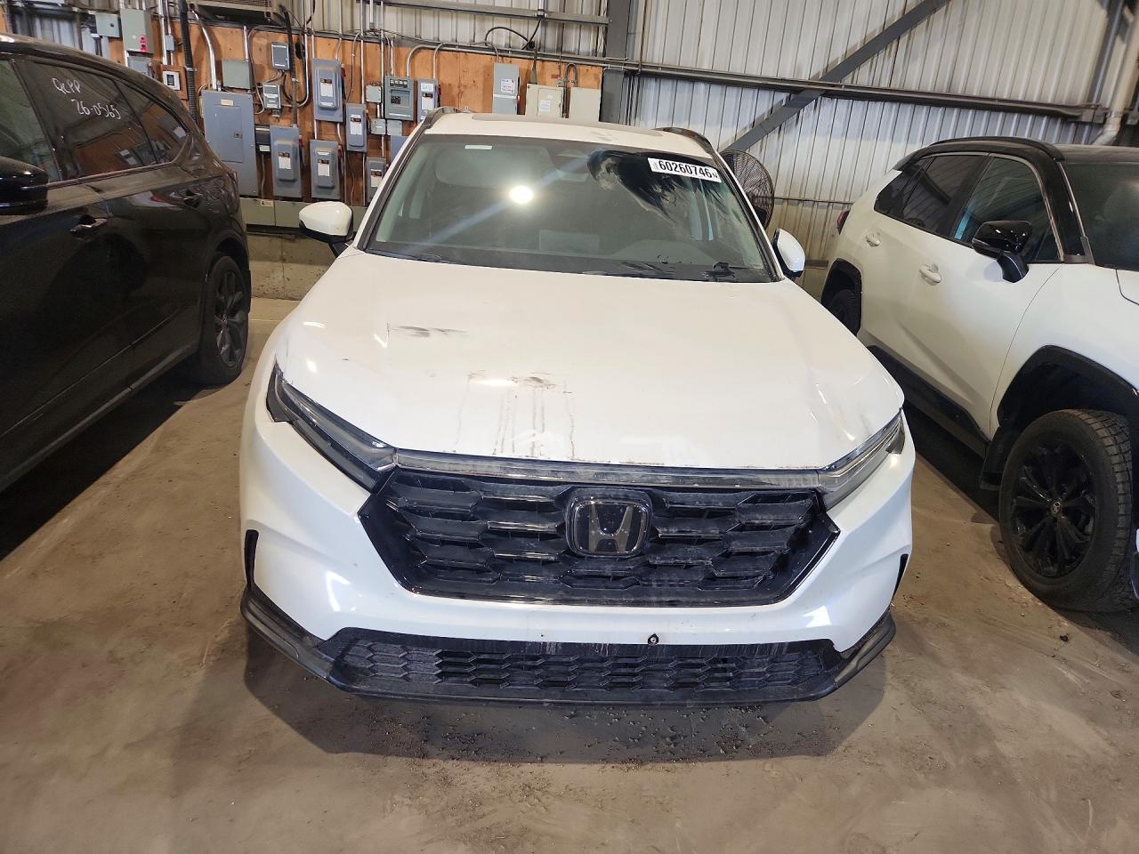 2024 Honda Cr-V Sport - zdjęcie 5