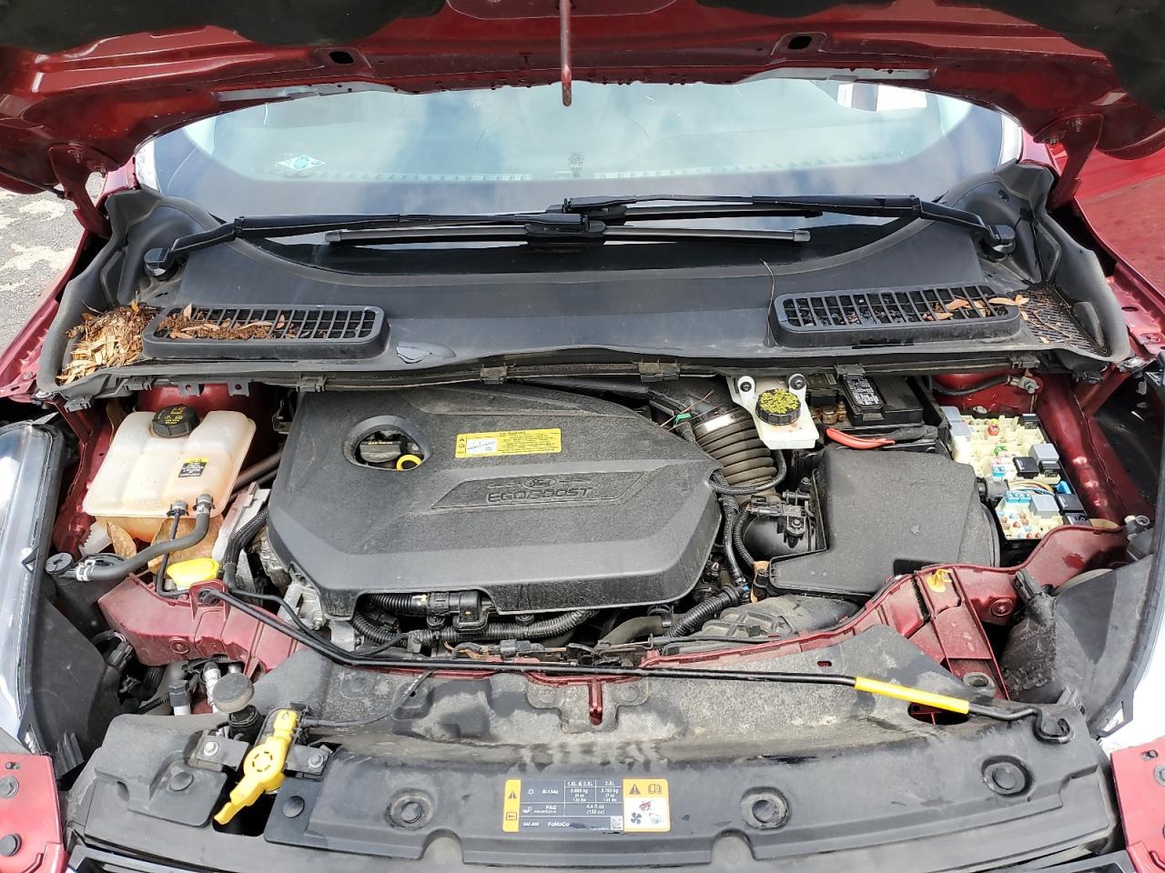 2013 Ford Escape Sel - zdjęcie 12
