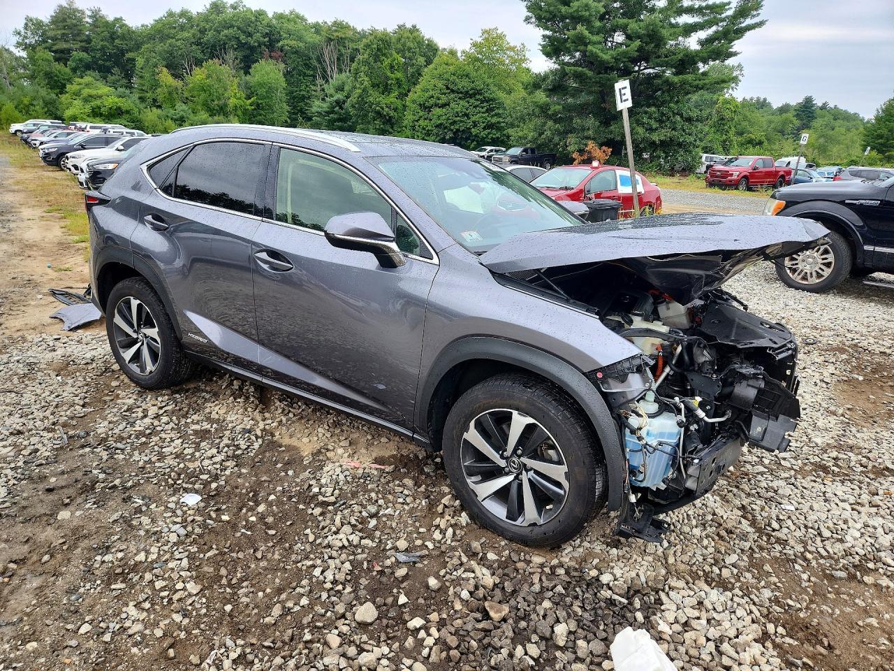 2020 Lexus Nx 300H - zdjęcie 4