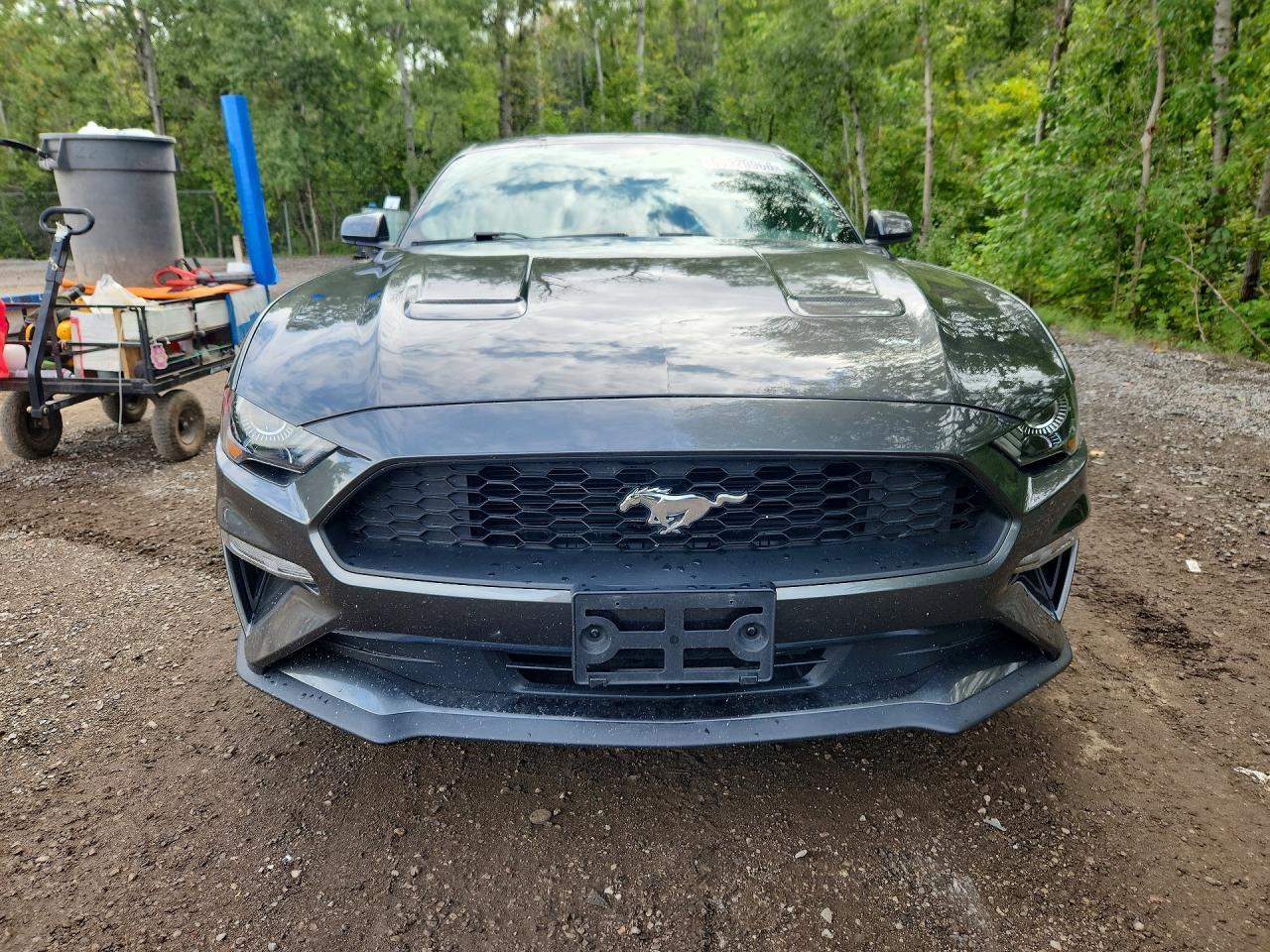 2020 Ford Mustang - zdjęcie 5