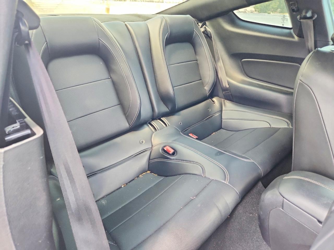 2019 Ford Mustang Gt - zdjęcie 10