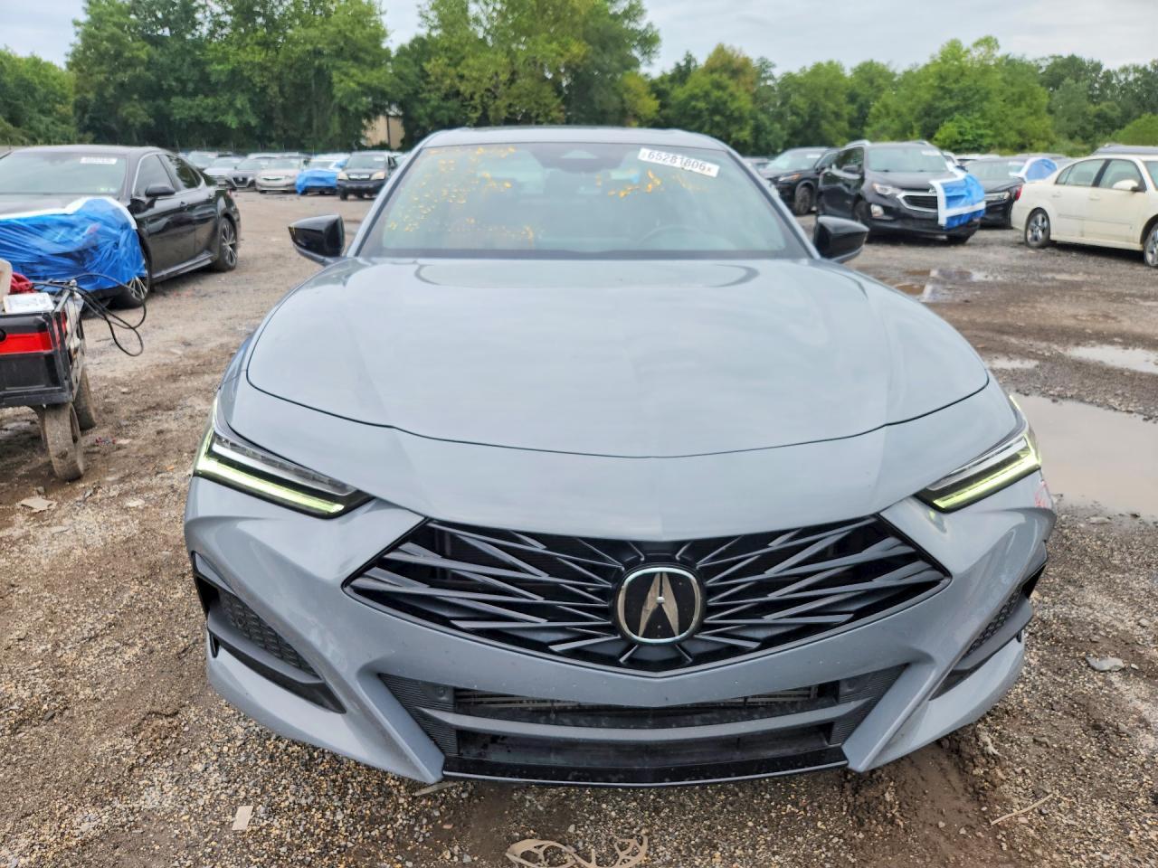 2024 Acura Tlx A-Spec - zdjęcie 5