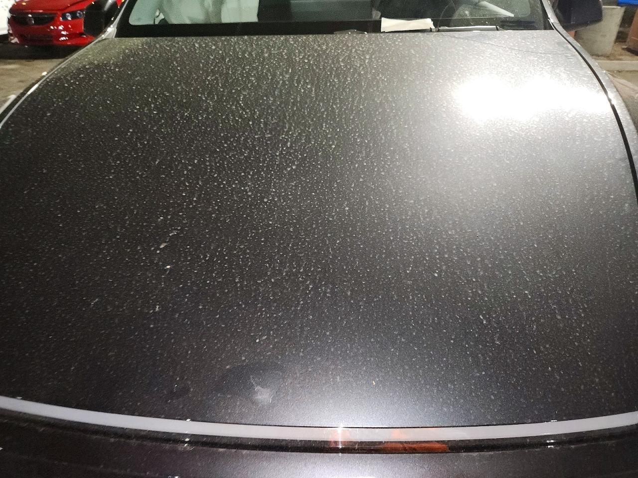 2026 Tesla Model Y - zdjęcie 12