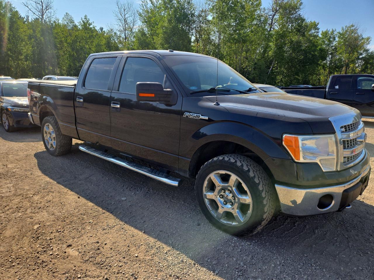 2014 Ford F150 Supercrew - zdjęcie 4