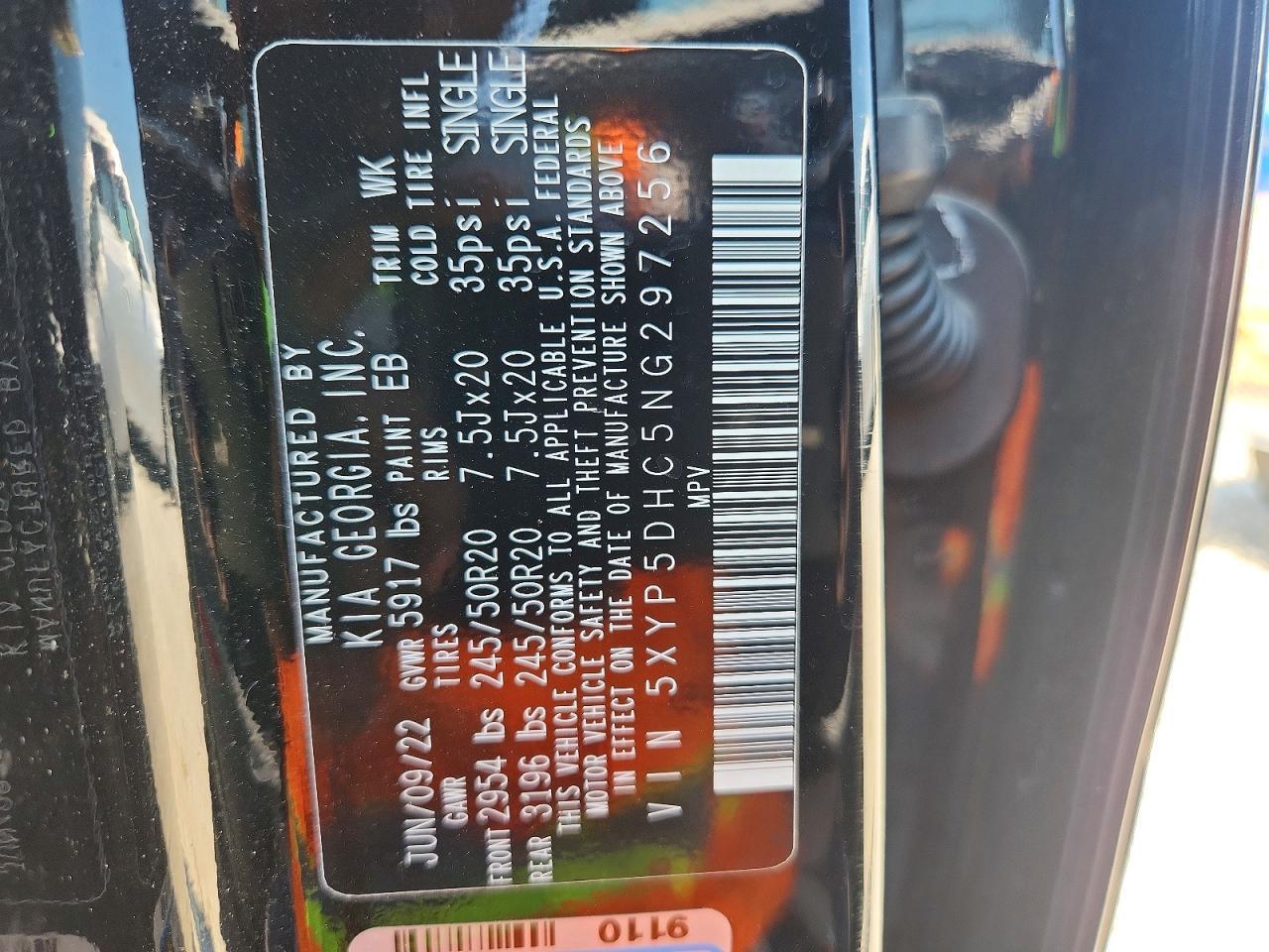 2022 Kia Telluride Sx - zdjęcie 13