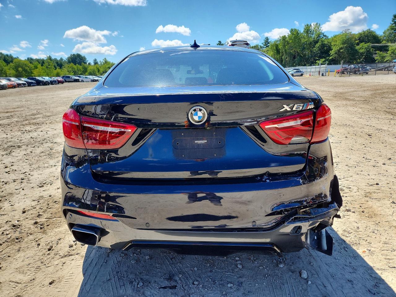 2016 BMW X6 xDrive35I - zdjęcie 6