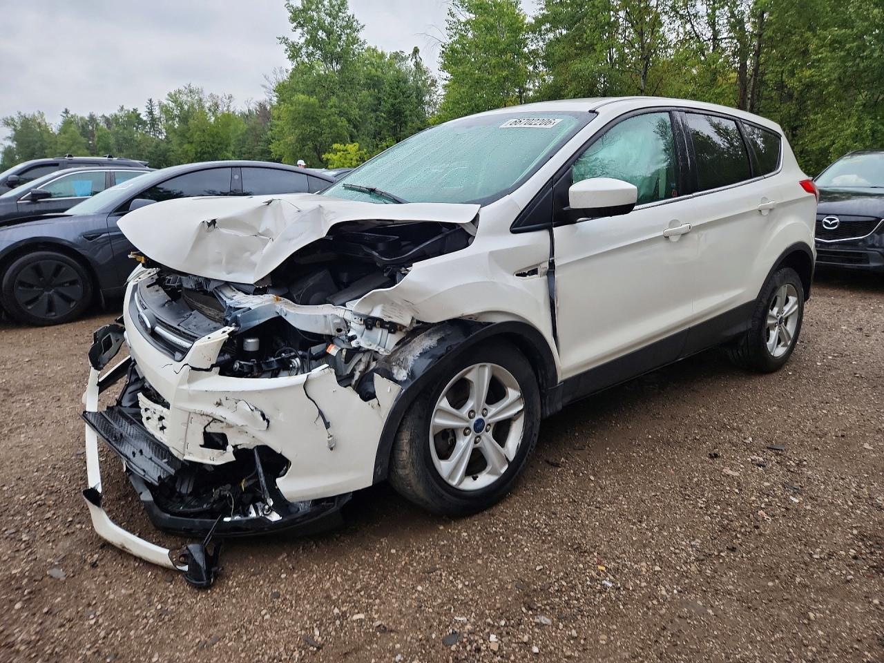 2014 Ford Escape Se - zdjęcie główne
