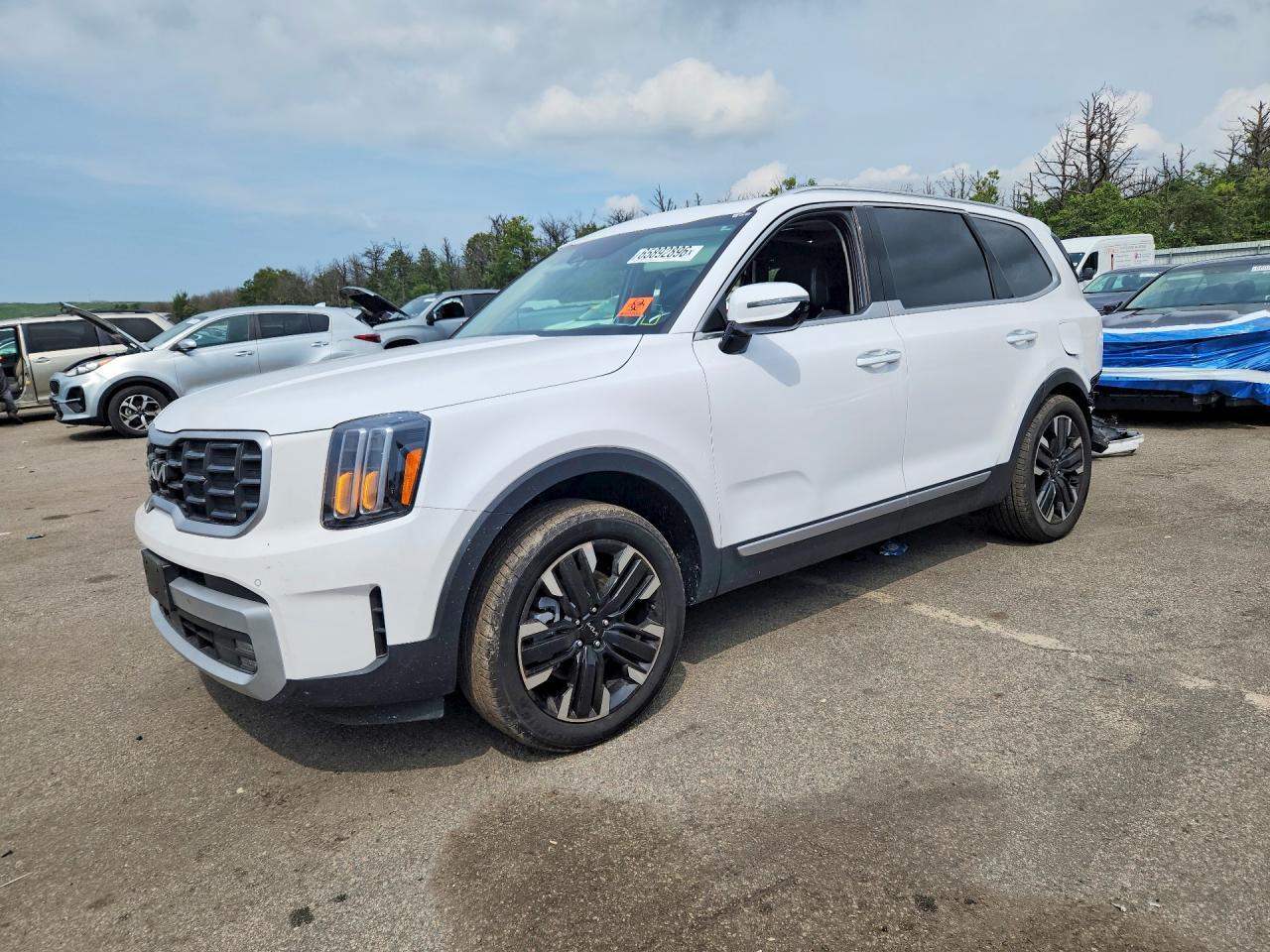 2024 Kia Telluride Sx - zdjęcie główne
