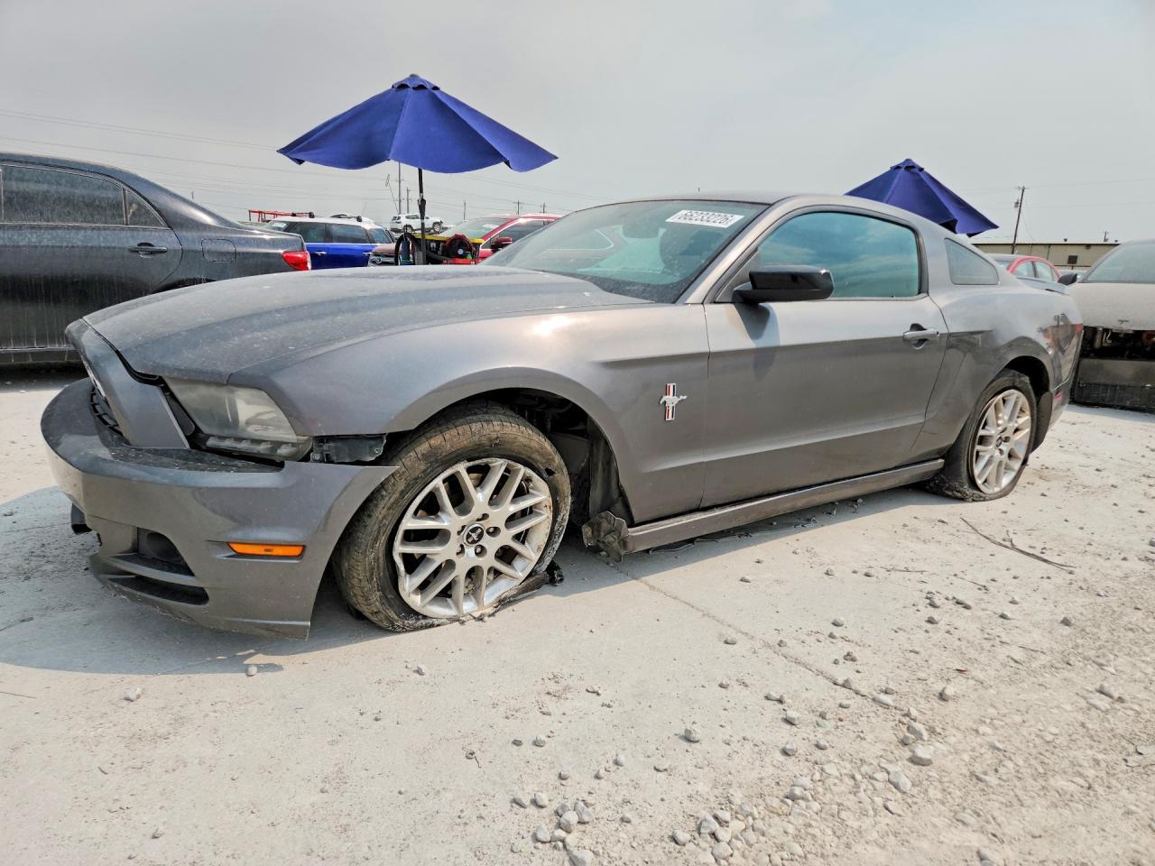 2014 Ford Mustang - zdjęcie główne