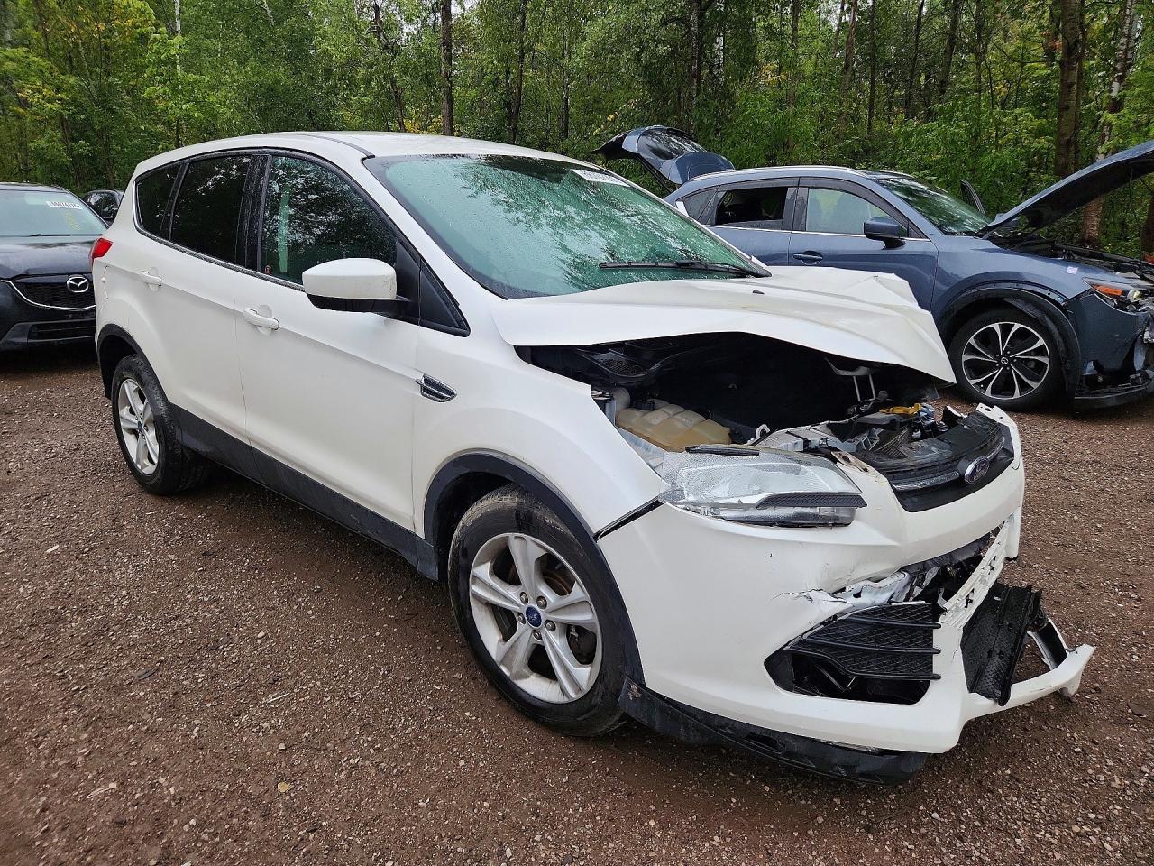 2014 Ford Escape Se - zdjęcie 4