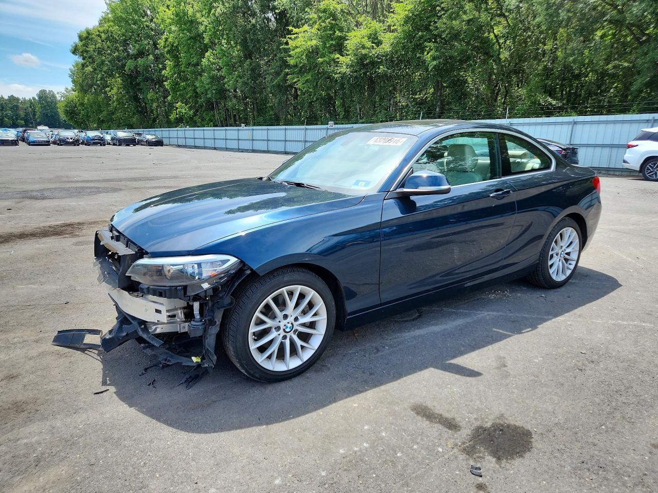 2016 BMW Seria 2 Coupe 228i - zdjęcie główne
