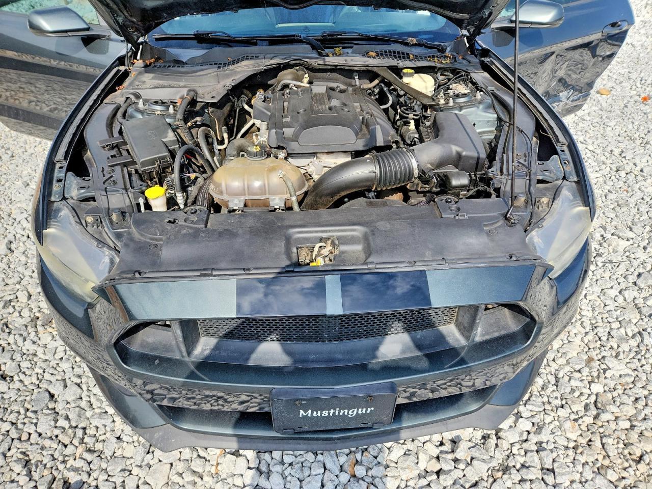 2016 Ford Mustang - zdjęcie 11