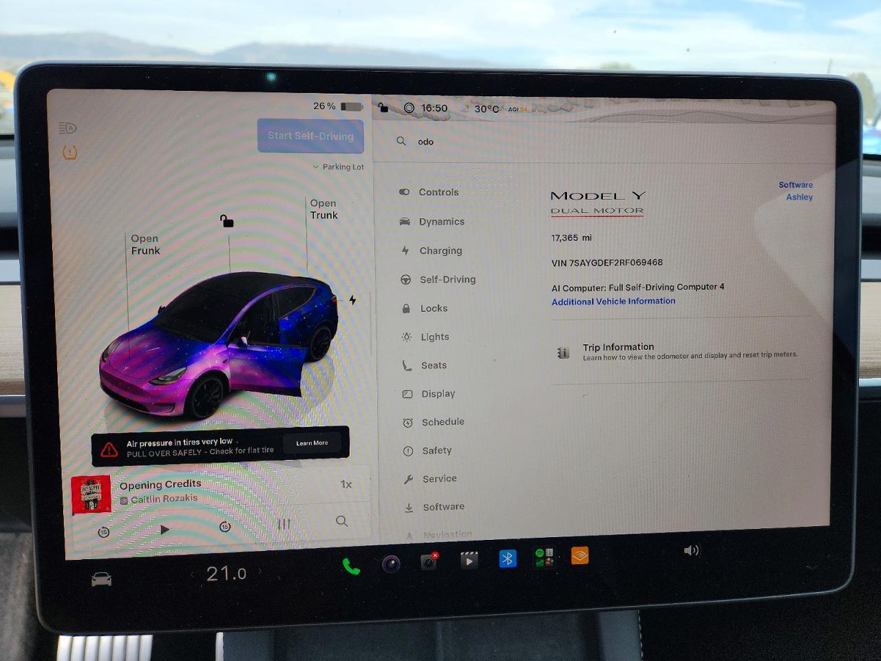 2024 Tesla Model Y - zdjęcie 9