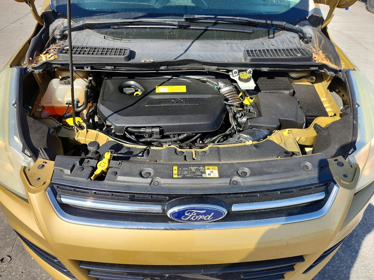 2014 Ford Escape Titanium - zdjęcie 11