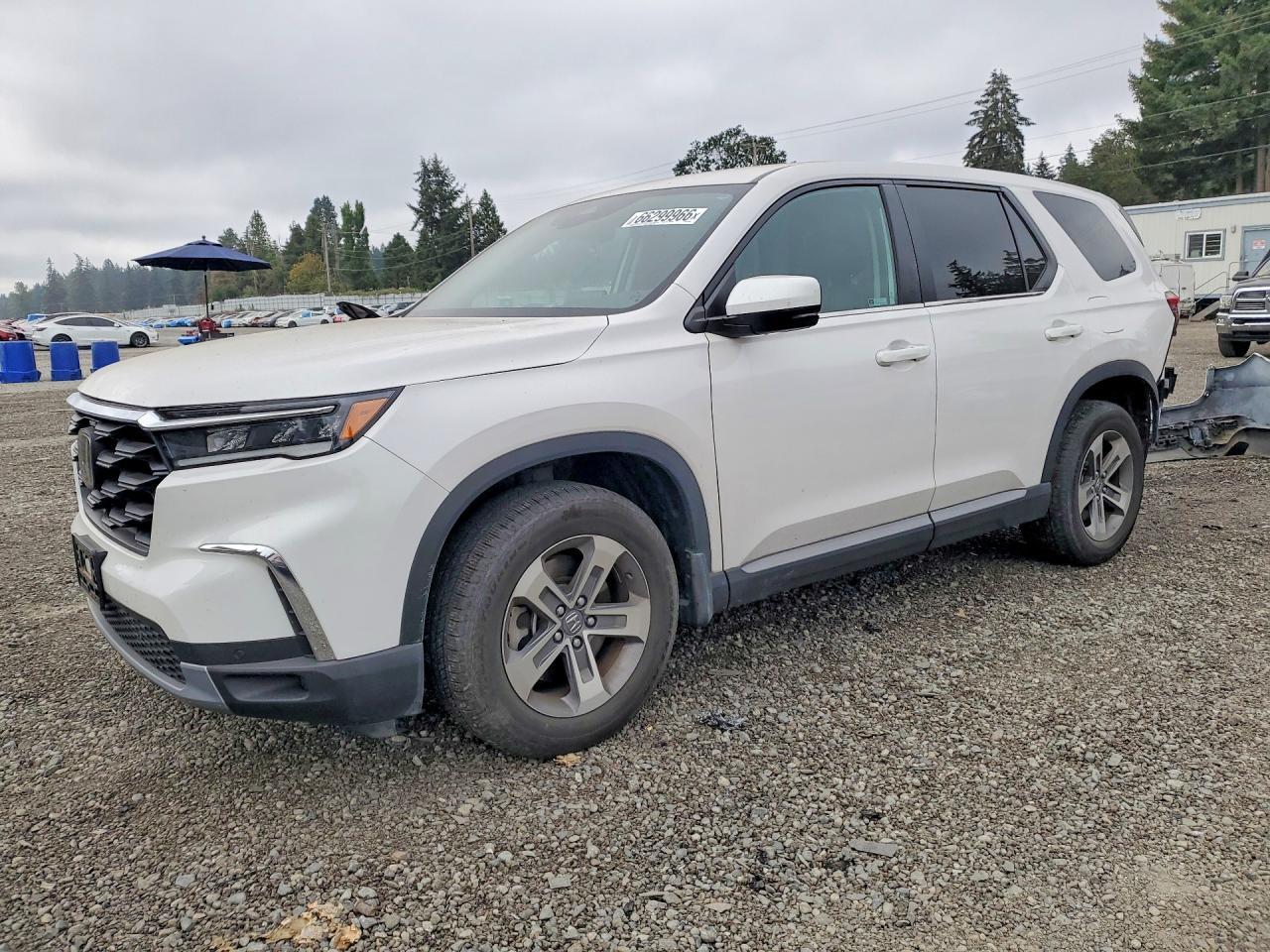 2023 Honda Pilot Exl - zdjęcie główne