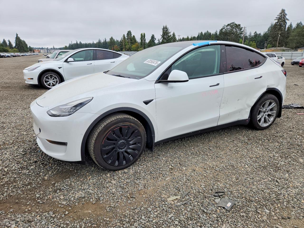 2022 Tesla Model Y - zdjęcie główne