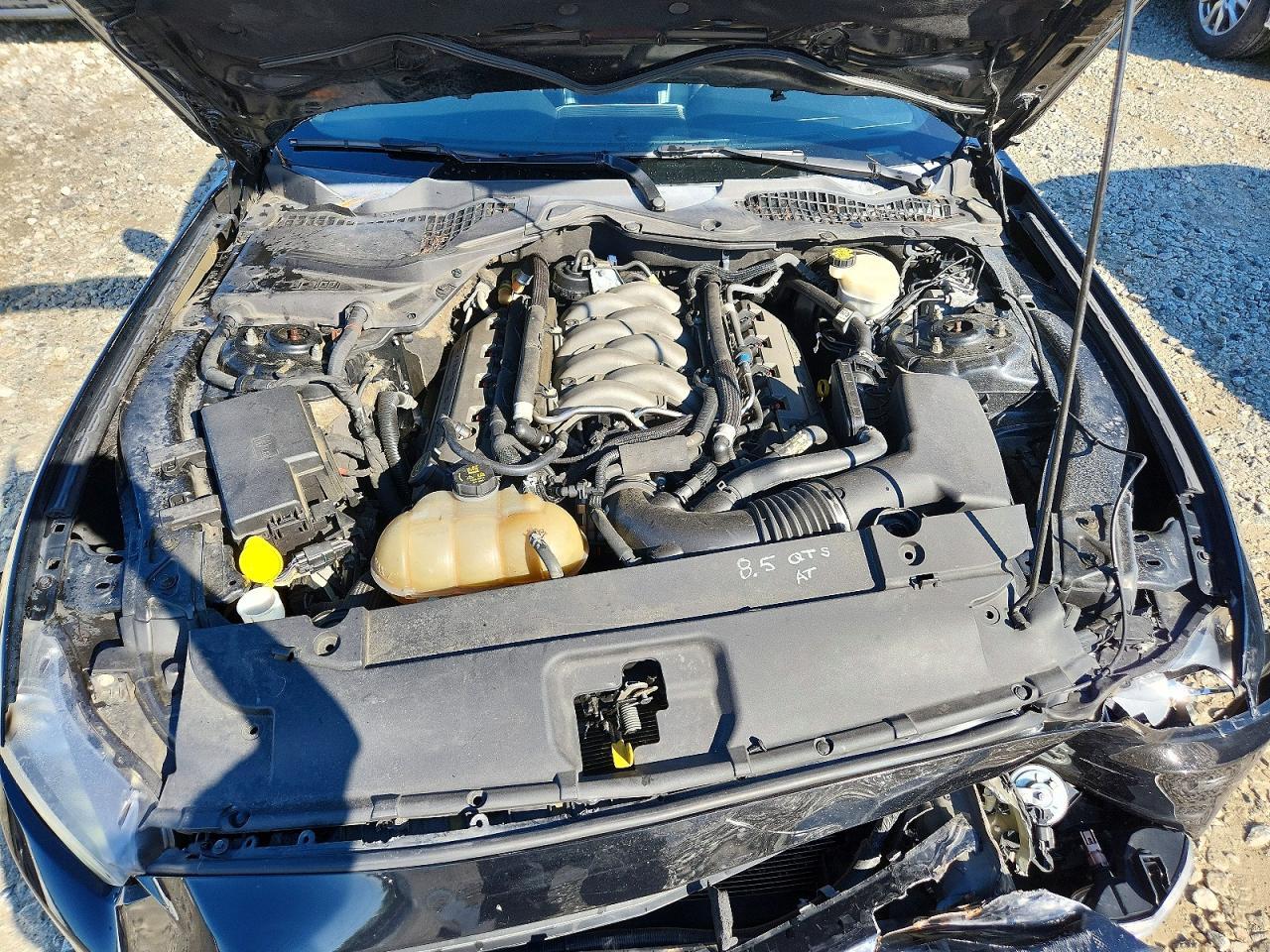 2016 Ford Mustang Gt - zdjęcie 11