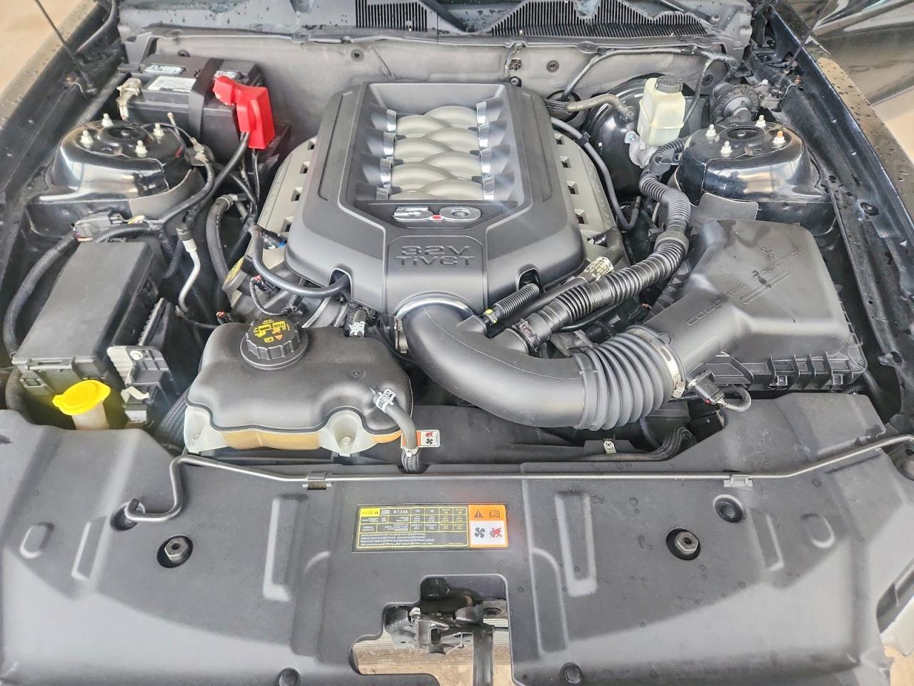 2014 Ford Mustang Gt - zdjęcie 11