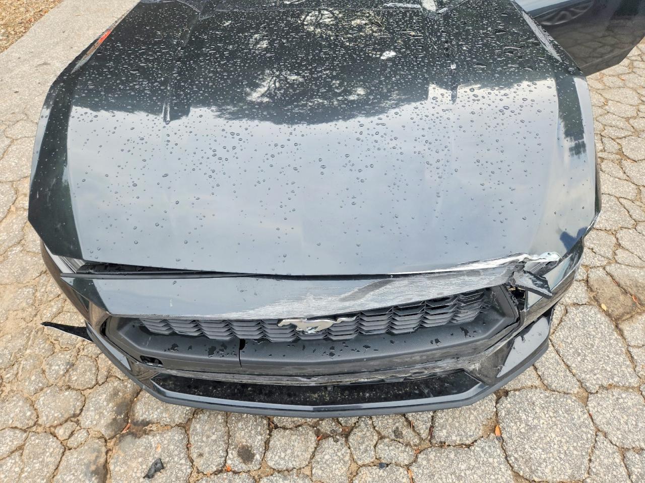 2024 Ford Mustang - zdjęcie 11