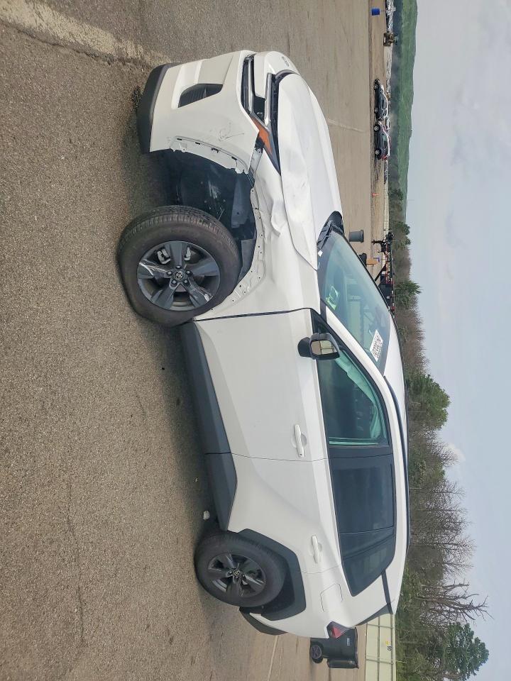 2026 Toyota Rav4 Le - zdjęcie główne