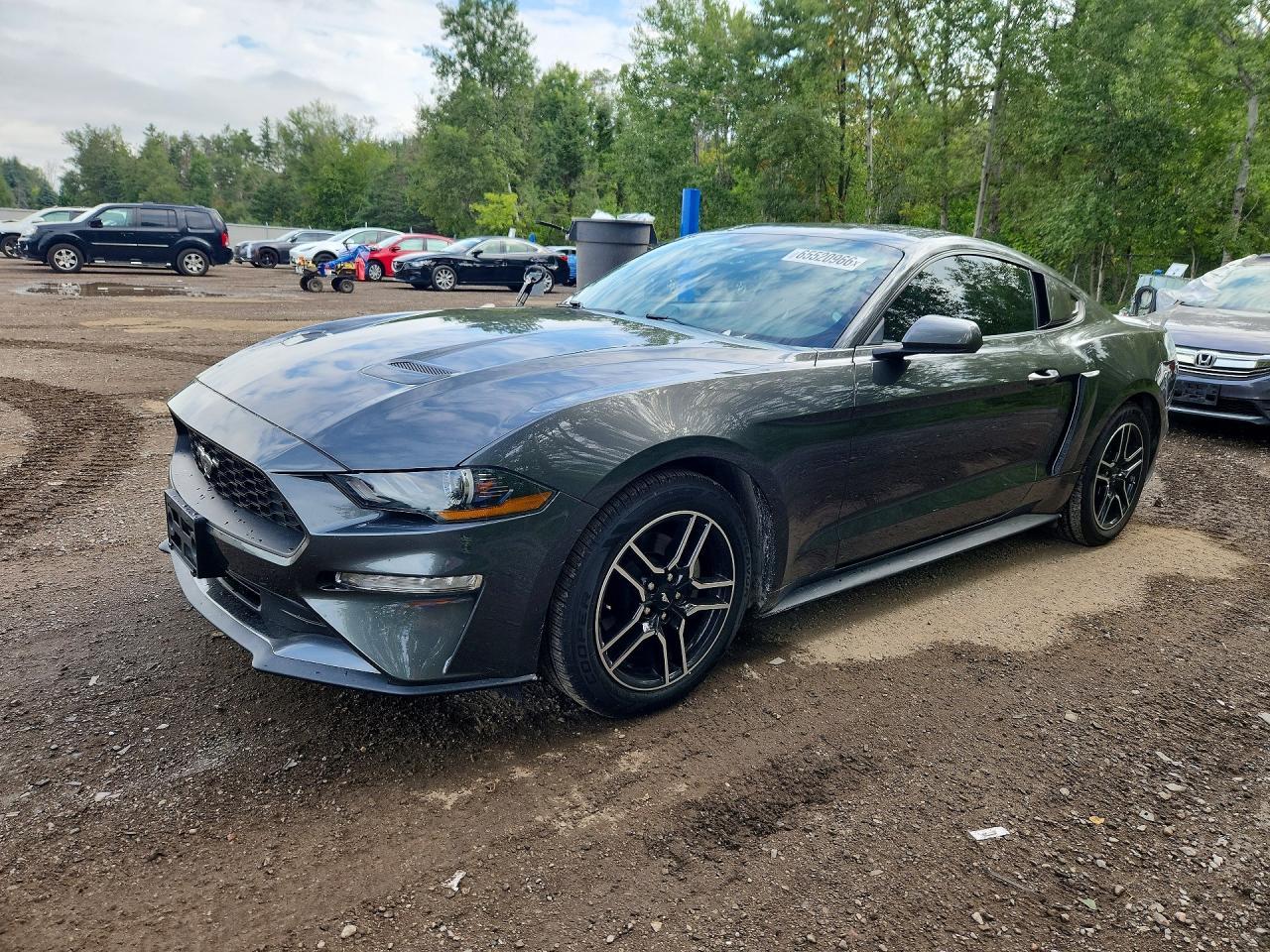 2020 Ford Mustang - zdjęcie główne