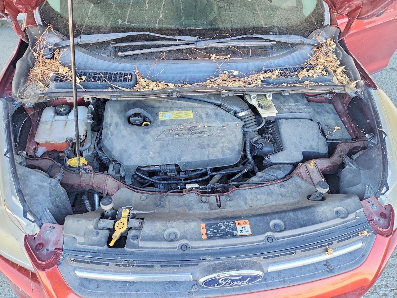 2014 Ford Escape Se - zdjęcie 12