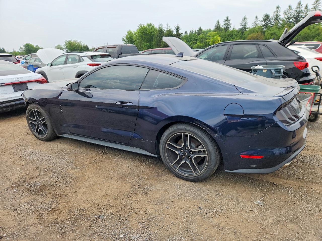2021 Ford Mustang - zdjęcie 2