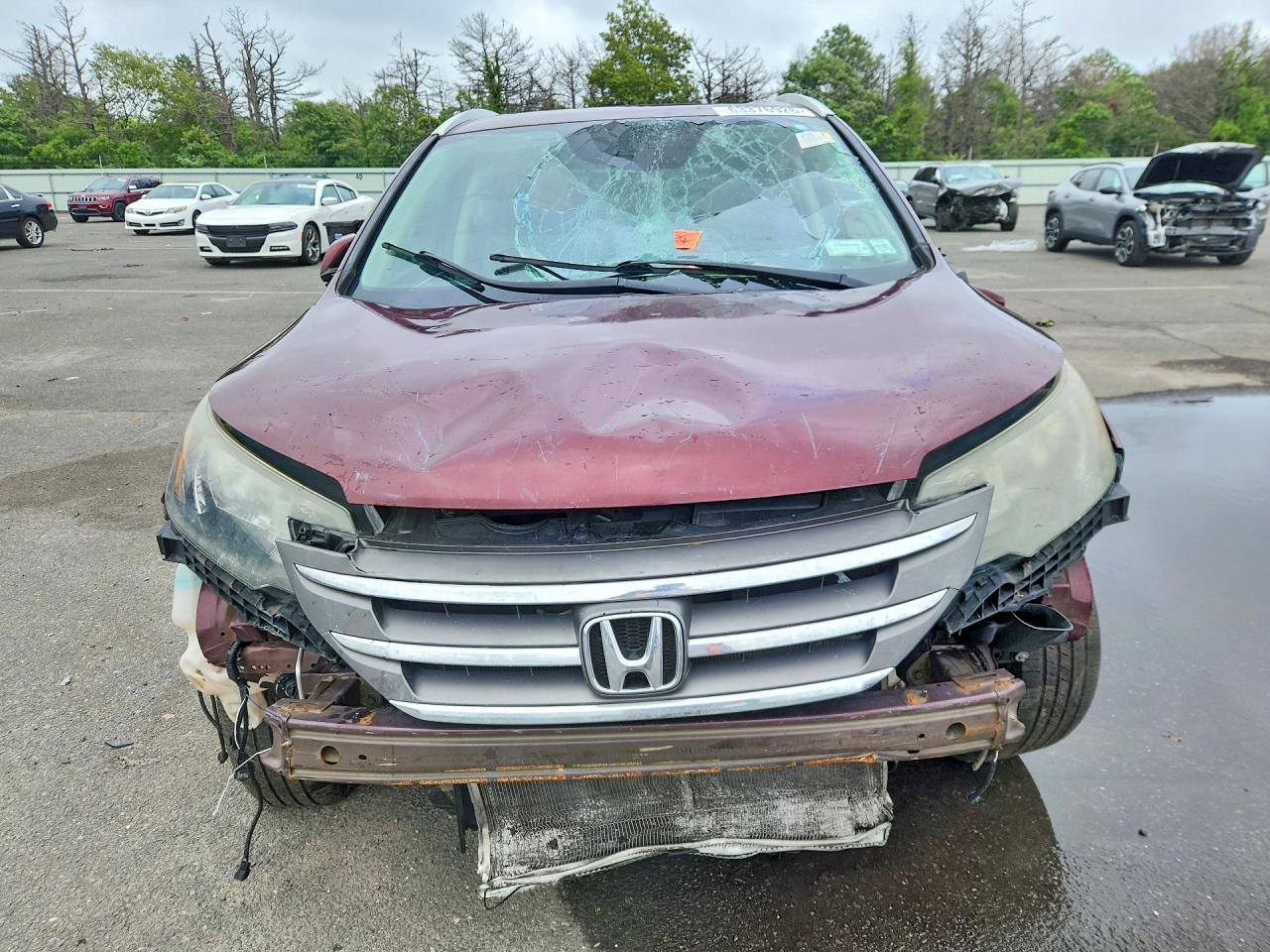2014 Honda Cr-V Exl - zdjęcie 5