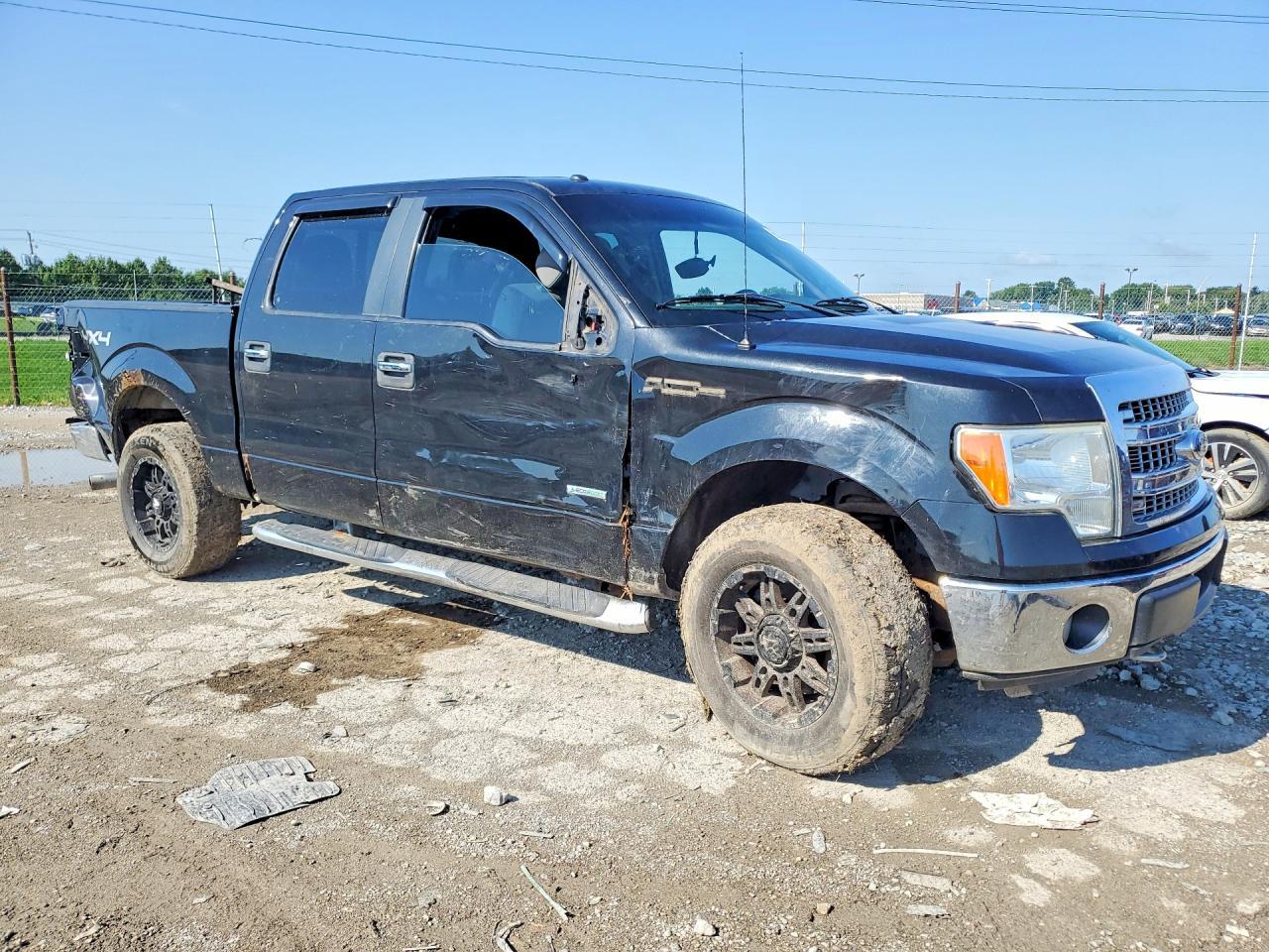 2014 Ford F150 Supercrew - zdjęcie 4